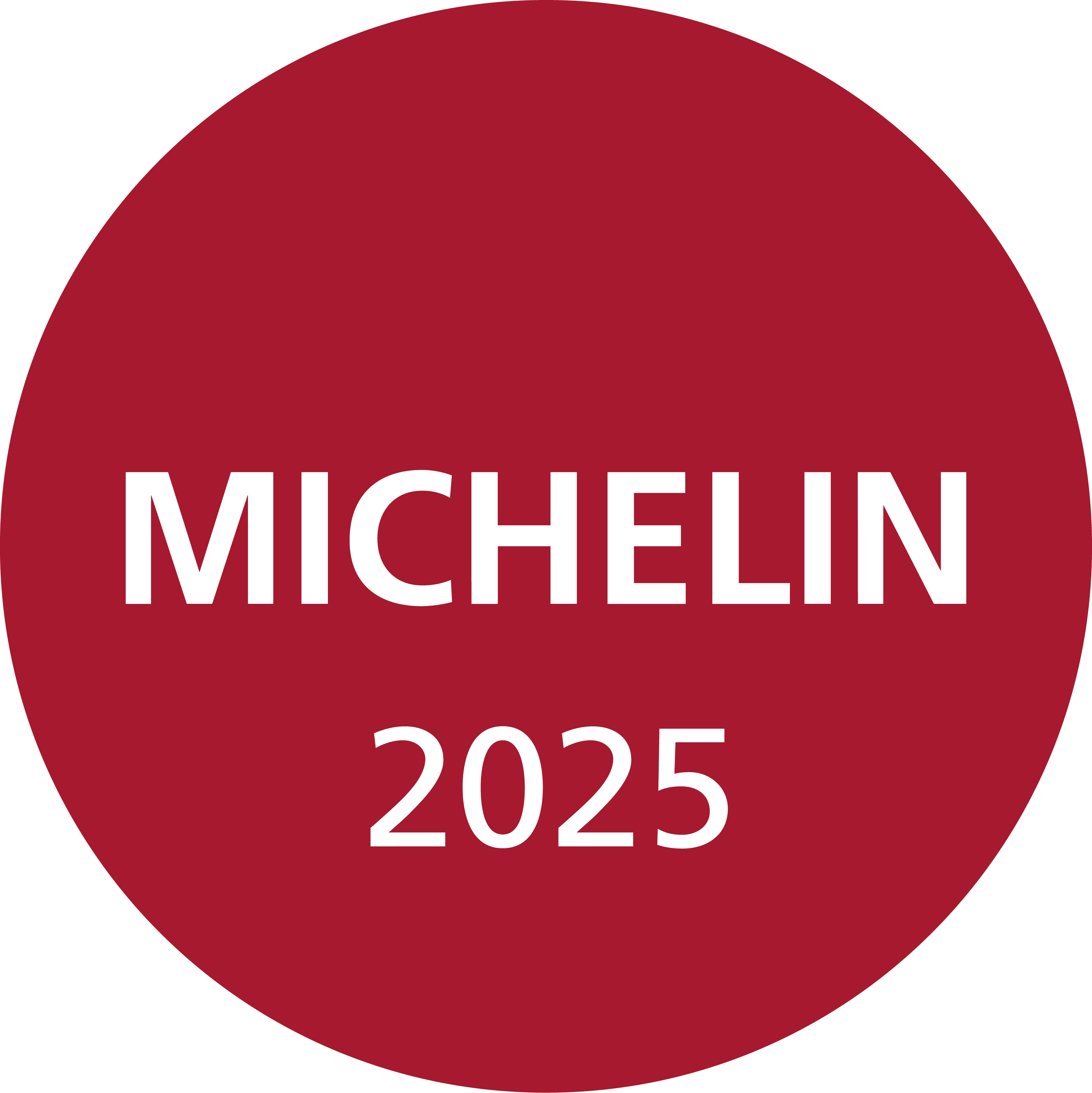 michelin logo